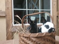20180327_232042.jpg