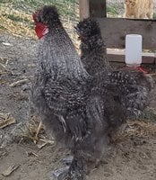 20180327_193837.jpg