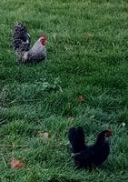 20171029_213039.jpg