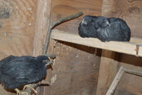 DSC_0139.JPG