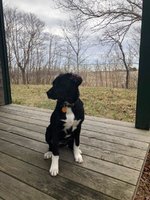 180408_070205_1.jpeg