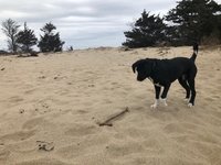 180408_070205_4.jpeg