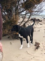 180408_070205_6.jpeg