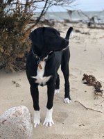 180408_070205_7.jpeg