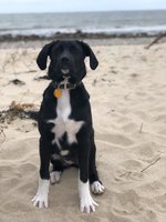 180408_070206_8.jpeg