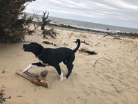 180408_070206_10.jpeg