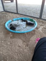 JPEG_20180408_163950.jpg