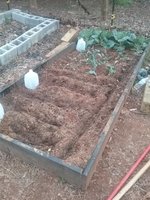 20180408_191711.jpg