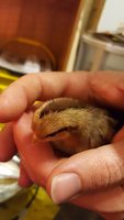 20180404_194300.jpg