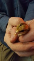 20180408_203318.jpg