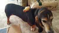 20180409_133933.jpg