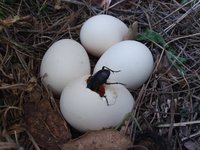 20180409_171356.jpg