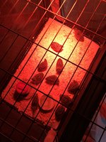 0EB29583-7EE1-4B88-8D7E-57016EAC6F21.jpeg