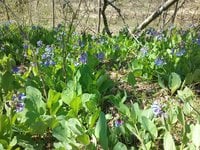 20180410_141122.jpg