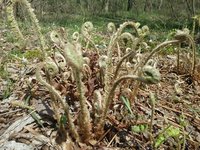 20180410_142112.jpg