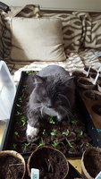 2017-02-25 14.03.20.jpg