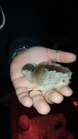 20180410_185321.jpg