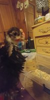 20180410_215914.jpg