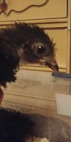 20180410_215813.jpg
