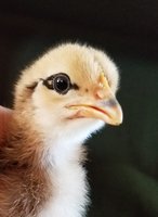 20180410_164251.jpg 20180410_164251.jpg