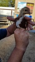 20180410_184659.jpg