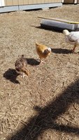 20180408_161009.jpg