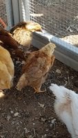 20180411_143657.jpg