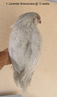 IMG_6555.JPG