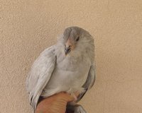 IMG_6547.JPG