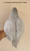 IMG_6544.JPG
