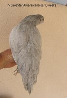 IMG_6542.JPG