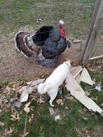 20180411_193736.jpg