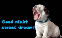 D77D4C9E-C51C-47E3-A387-AED46ECE76EE.jpeg