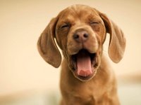 D9139205-AB3C-401F-9F44-11BBB2AAB2BD.jpeg
