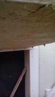 IMG_20180412_071847.jpg