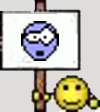 WTH copy.jpg