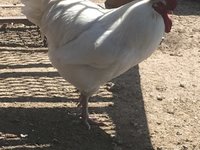 IMG_0904.jpg