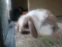20180412_163622.jpg
