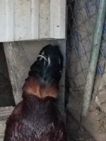 20180411_193202.jpg