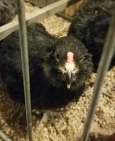 20180413_092243.jpg