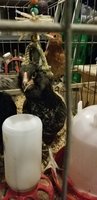 20180413_091602.jpg