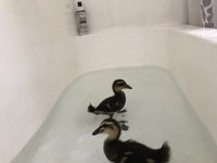 9C003058-220B-400E-A8E8-DEA2F8CF84B9.jpeg