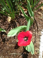 20180413_134839.jpg