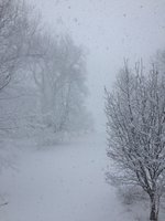 360E3EAD-AC24-45A7-9E52-C45E46E85D85.jpeg