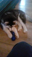 IMG_20180413_153144.jpg
