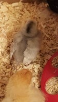 20180413_093402.jpg