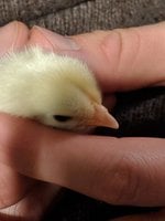 MVIMG_20180413_203453.jpg