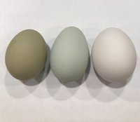 DE7C512E-B72B-428E-8A0E-354384E0865E.jpeg