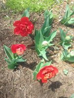 20180413_125523.jpg