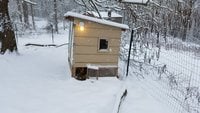20180402_092400.jpg